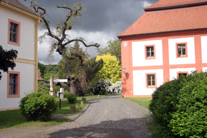 Kloster